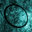 10506544635a3c19b090874.gif